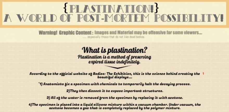 Plastination